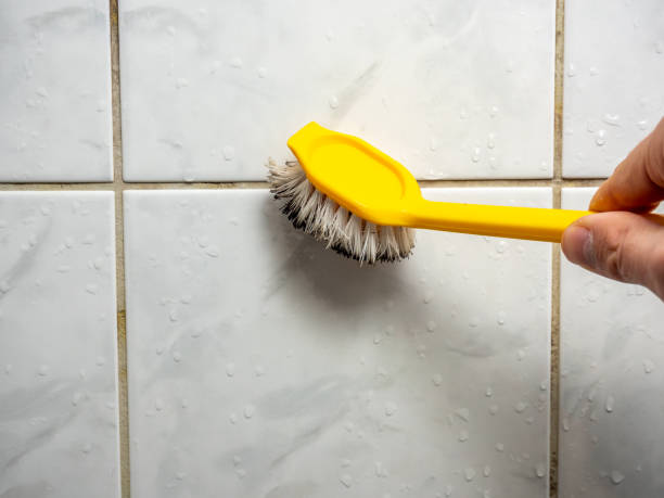 Best Same-Day Mold Removal  in Salton City, CA